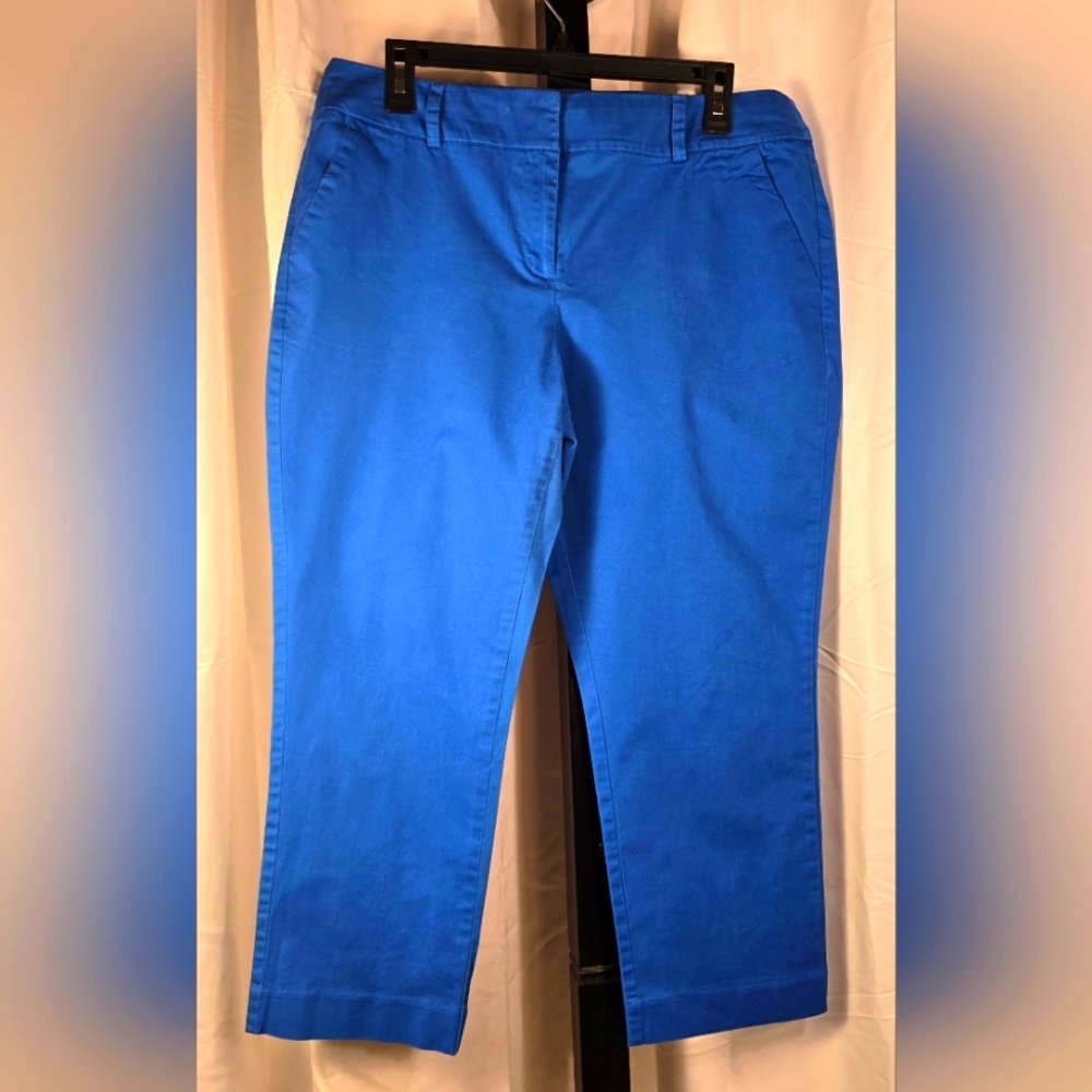 Vibrant Blue‎ Cropped Pants